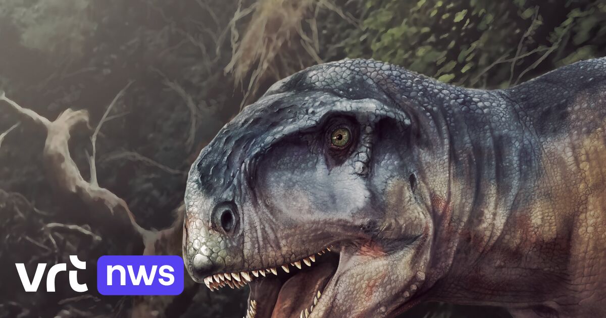 Hij Die Angst Aanjaagt Maak Kennis Met Een Nieuwe Vleesetende Dinosaurus Uit Patagonie Vrt Nws Nieuws