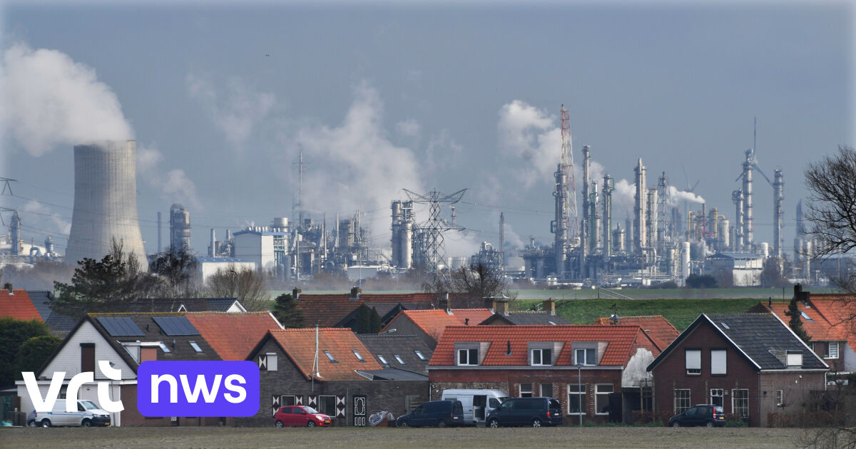 After nitrogen detention: the Flemish government has new guidelines on how much nitrogen industry and agriculture can emit