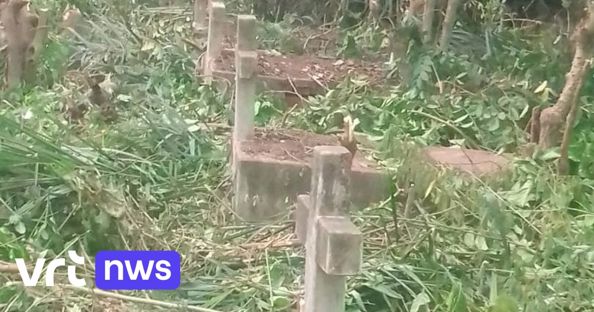 73 jaar nadat Sabena-vlucht in Congo is gecrasht, zijn graven van 28 passagiers (her)ontdekt .