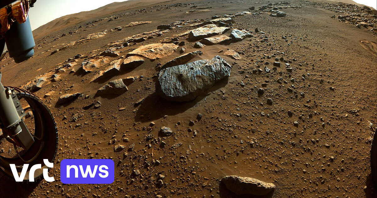 Rock samples collected by Perseverance support hypothesis that life once existed on Mars