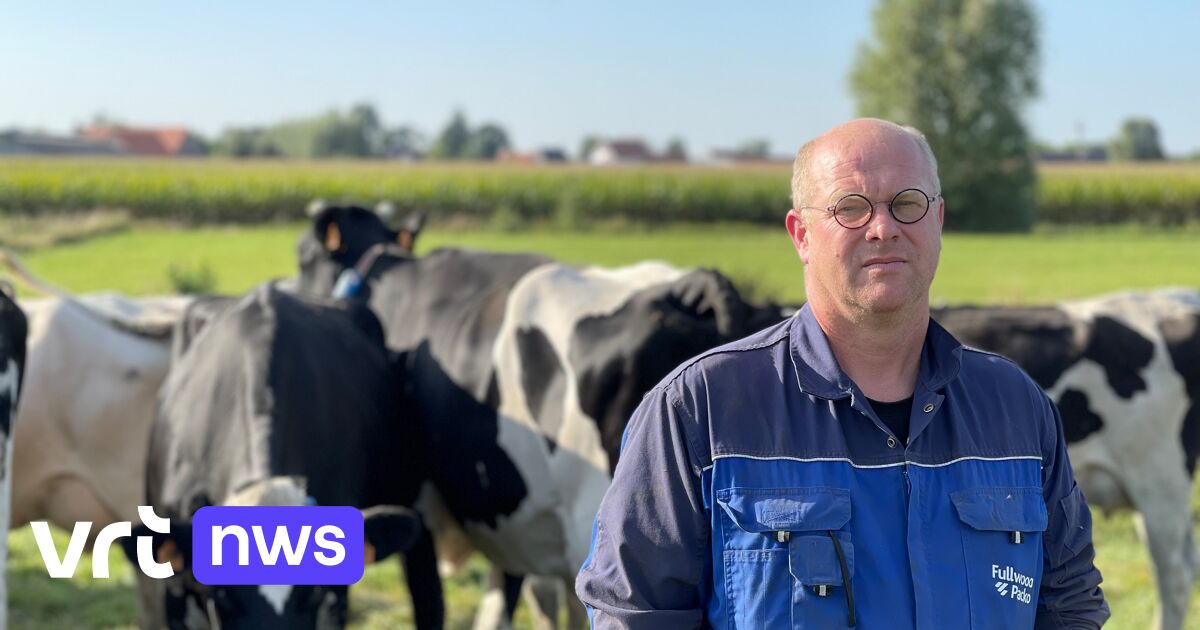 Après le suicide d’un agriculteur, un éleveur d’Ypres demande d’envoyer des lettres aux ministres