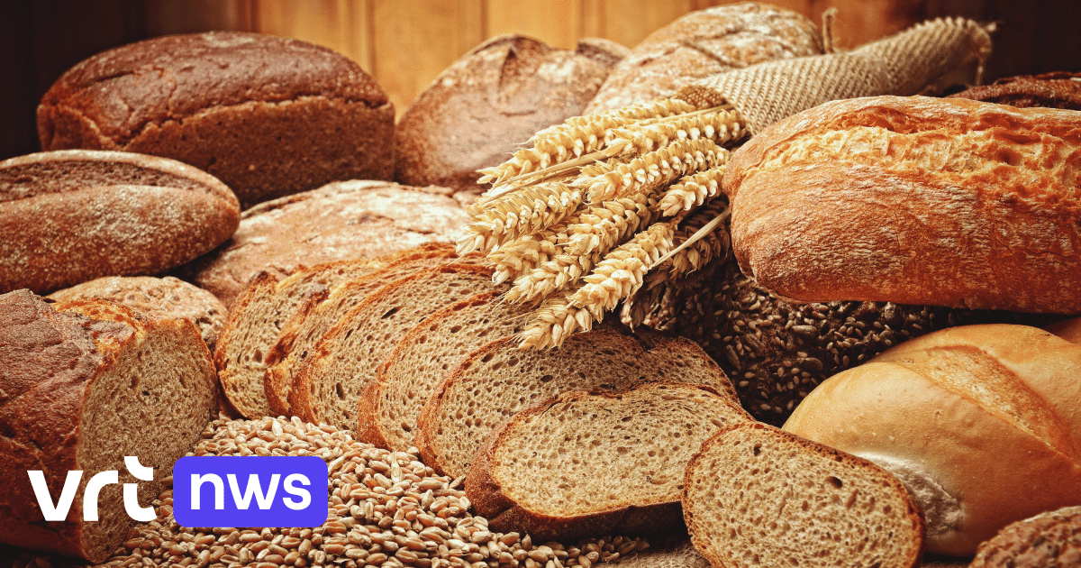 land wakker worden Ruim Stijgt de prijs van brood ook bij jouw bakker? "Kosten voor grondstoffen,  energie en arbeid zijn sterk gestegen" | VRT NWS: nieuws
