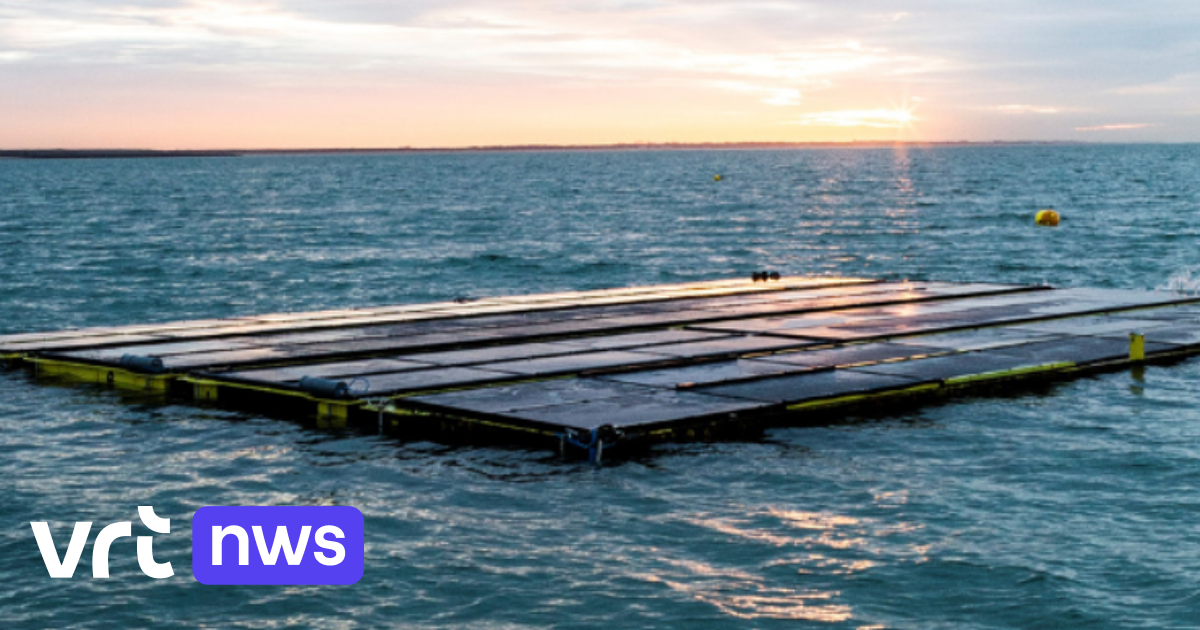 Company from the Netherlands builds floating solar park off the coast of Ostend