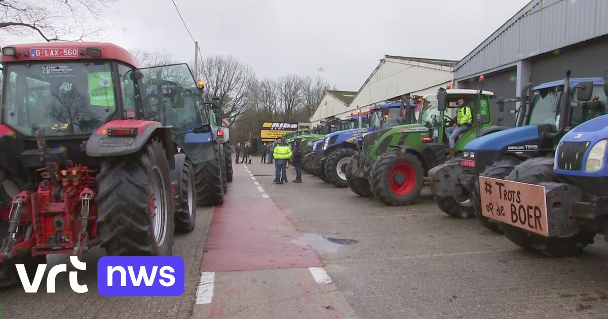 Boerenprotest in Vlaanderen: Boeren protesteren tegen onduidelijke stikstofregelgeving