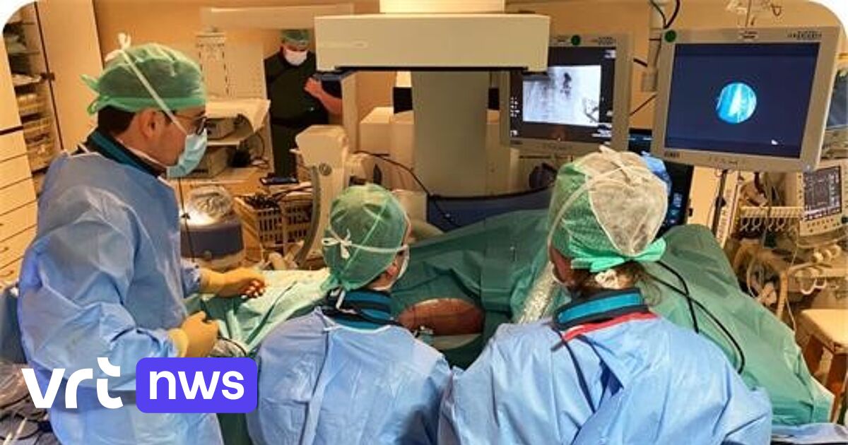 Kidney stone clinic of AZ Klina in Brasschaat receives European recognition and thus becomes a training center for urologists