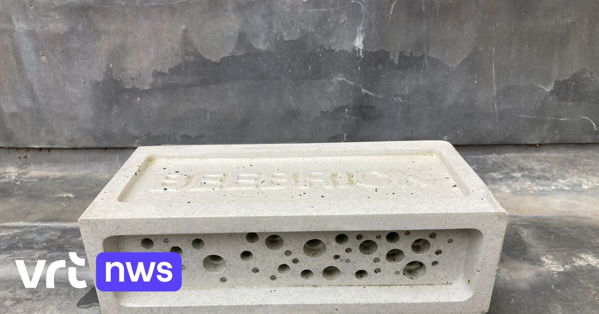 Controversy over mandatory bee stone in new construction in UK