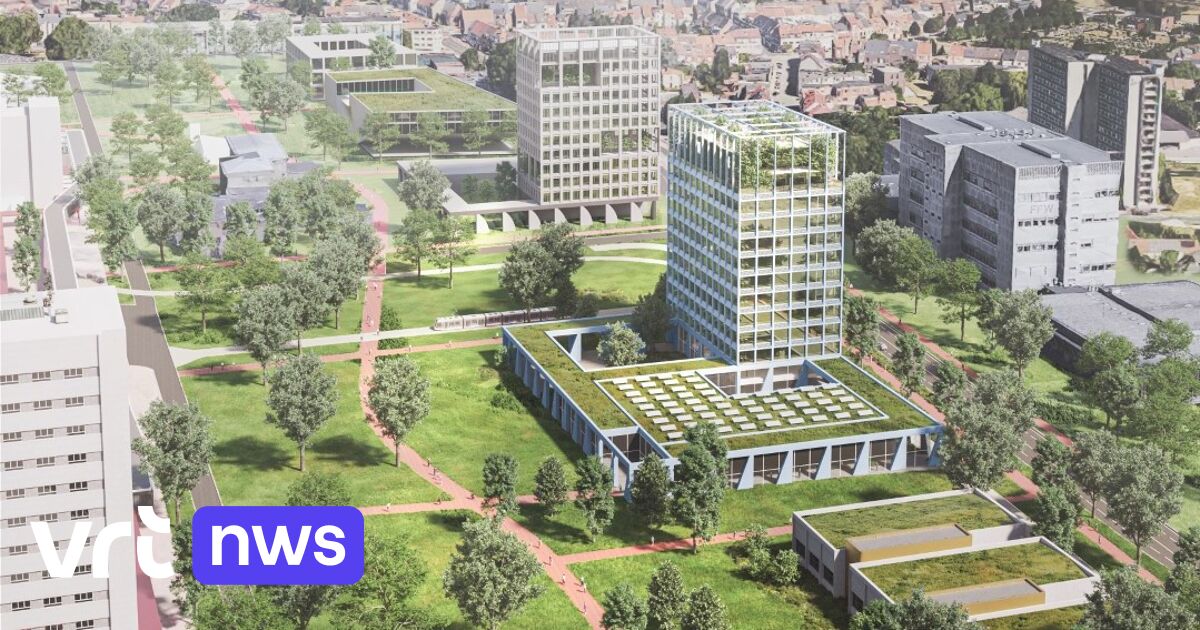 Uz Gent Wordt Ziekenhuis Van De Toekomst Veel Groen Minder