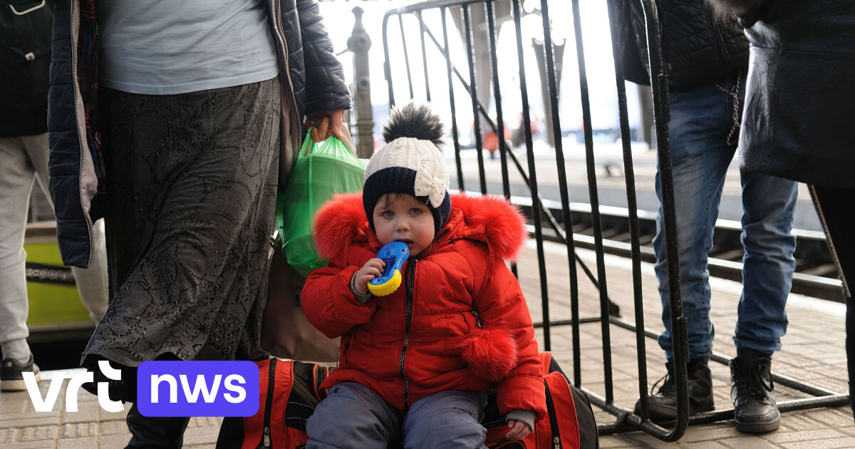 Actie Oekraïne 12-12 wil zoveel mogelijk geld inzamelen: wat gebeurt er