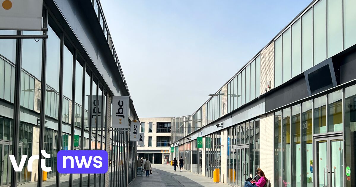 Beveren-Kruibeke-Zwijndrecht zoekt centrummanager om lokale handel te versterken
