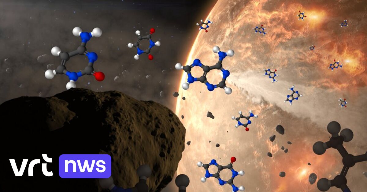 Due basi finali del DNA trovate nei meteoriti: il progetto per la vita ha avuto origine negli asteroidi?