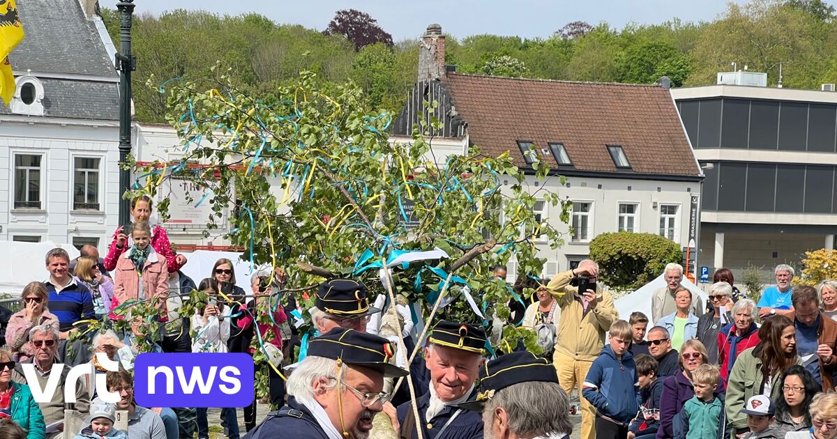 Tervuren Plant Meiboom Veel Eerder Dan Meyboomplanting In Brussel En Leuven VRT NWS Nieuws