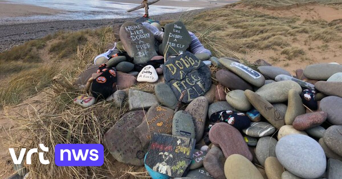 Is Dobby disappearing from the dunes of Wales?  Grave of beloved elf from Potter series takes large proportions in nature reserve