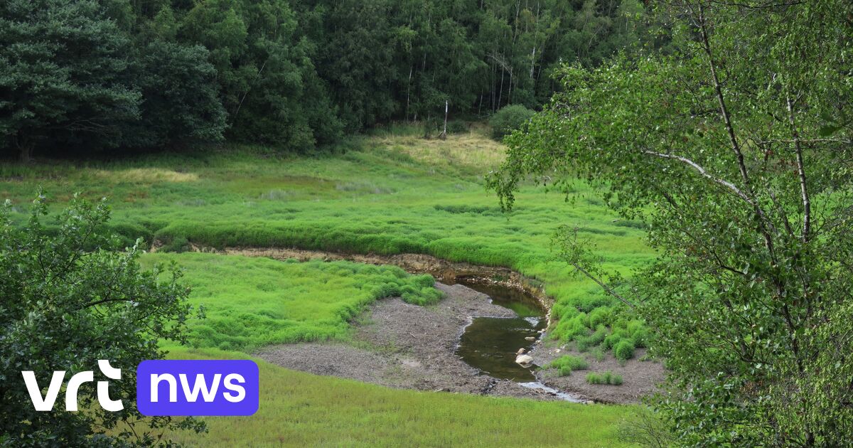 IN KAART Deze gemeenten smelten samen