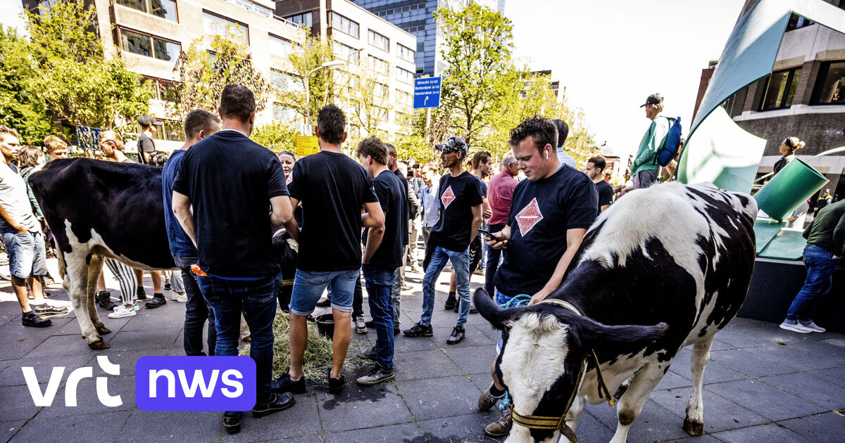 Boeren Protesteren Bij Nederlands Parlement, Waar Gestemd Is Voor ...