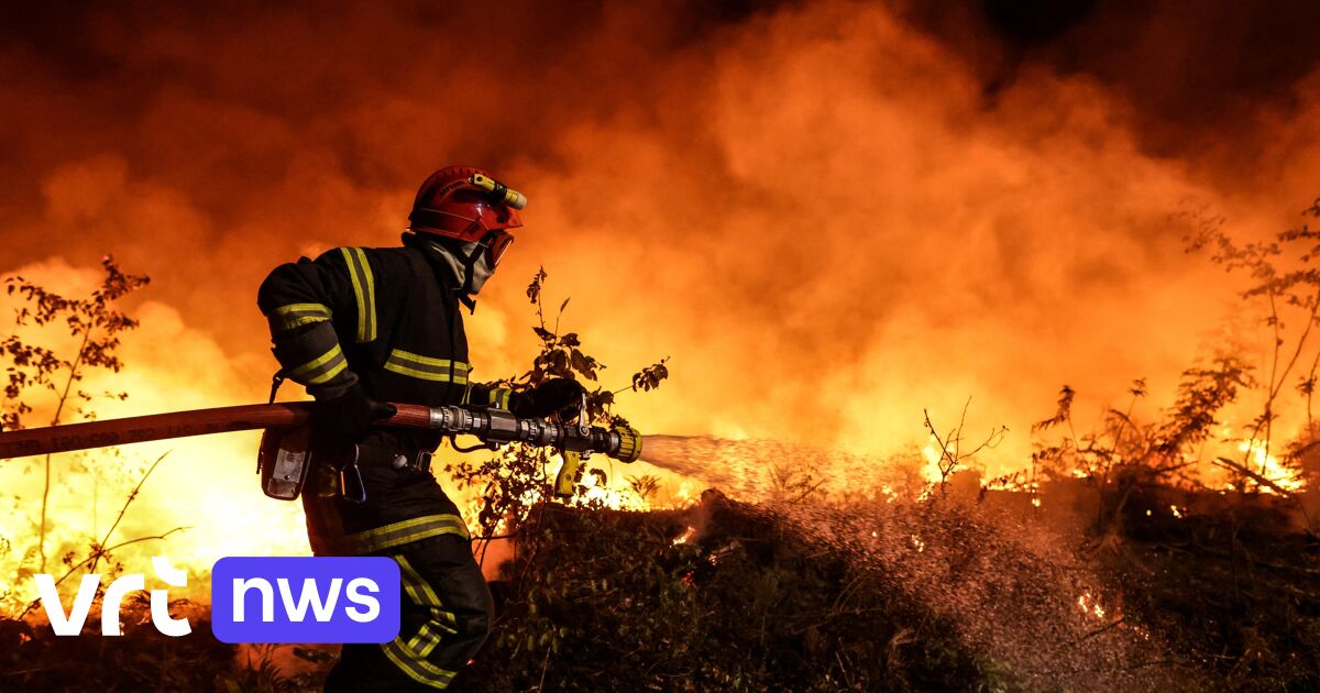 Più di 1.000 morti in Spagna e Portogallo per il caldo e gli incendi boschivi che circondano il Mediterraneo