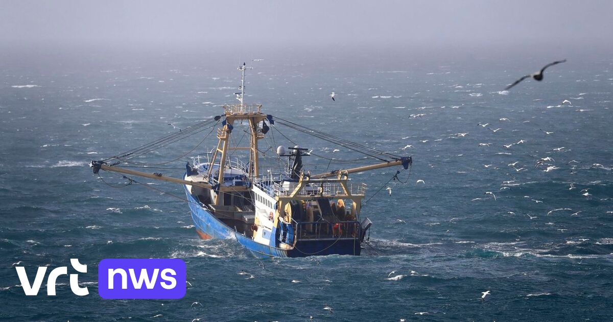 Die belgischen Fischer dürfen mehr Fischarten in der Nordsee aber weniger in westlichen Gewässern fangen