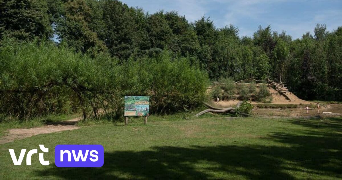 15.000 extra bomen op komst in Heist-op-den-Berg: "Groene verbinding
