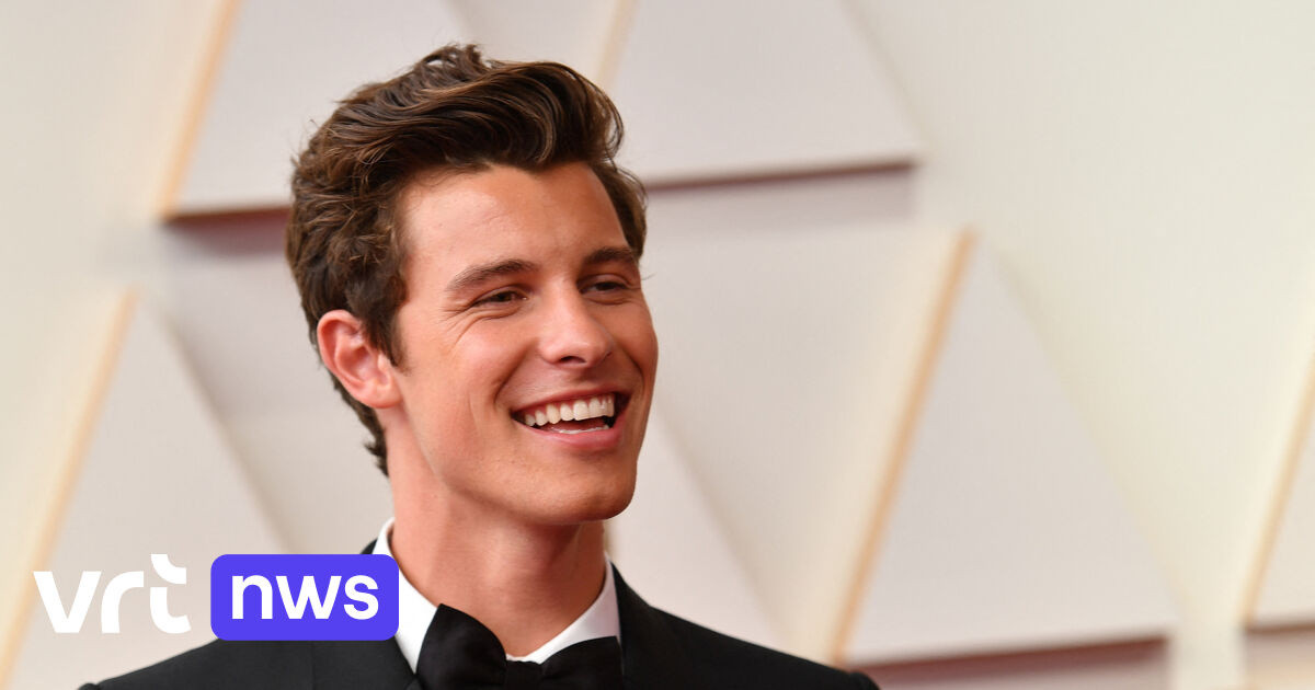 After Stromae and Max Colombie, now also Shawn Mendes: why artists succumb to mental pressure