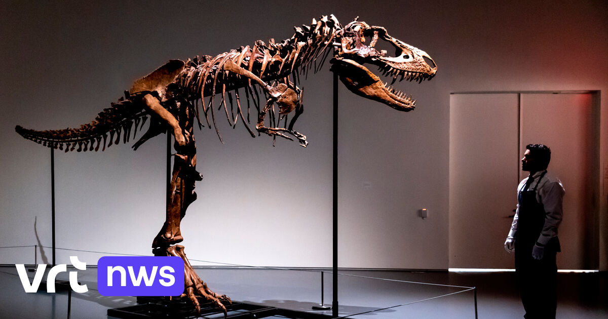 Lo scheletro di Gorgosaurus è stato venduto per 6,1 milioni di dollari a New York