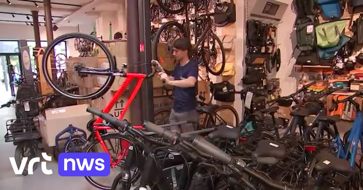 afdeling Verhandeling Reparatie mogelijk Grote ketens kopen kleine fietswinkels op | VRT NWS: nieuws
