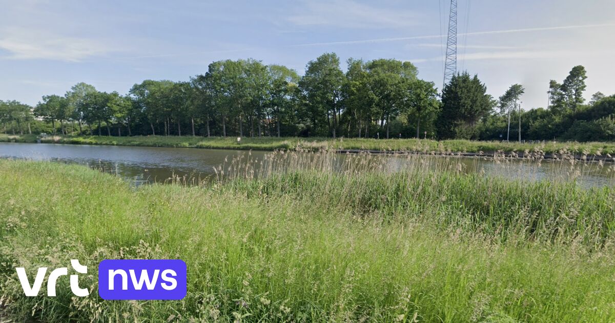 Verboden water op te pompen door blauwalgen op kanaal Gent-Oostende in