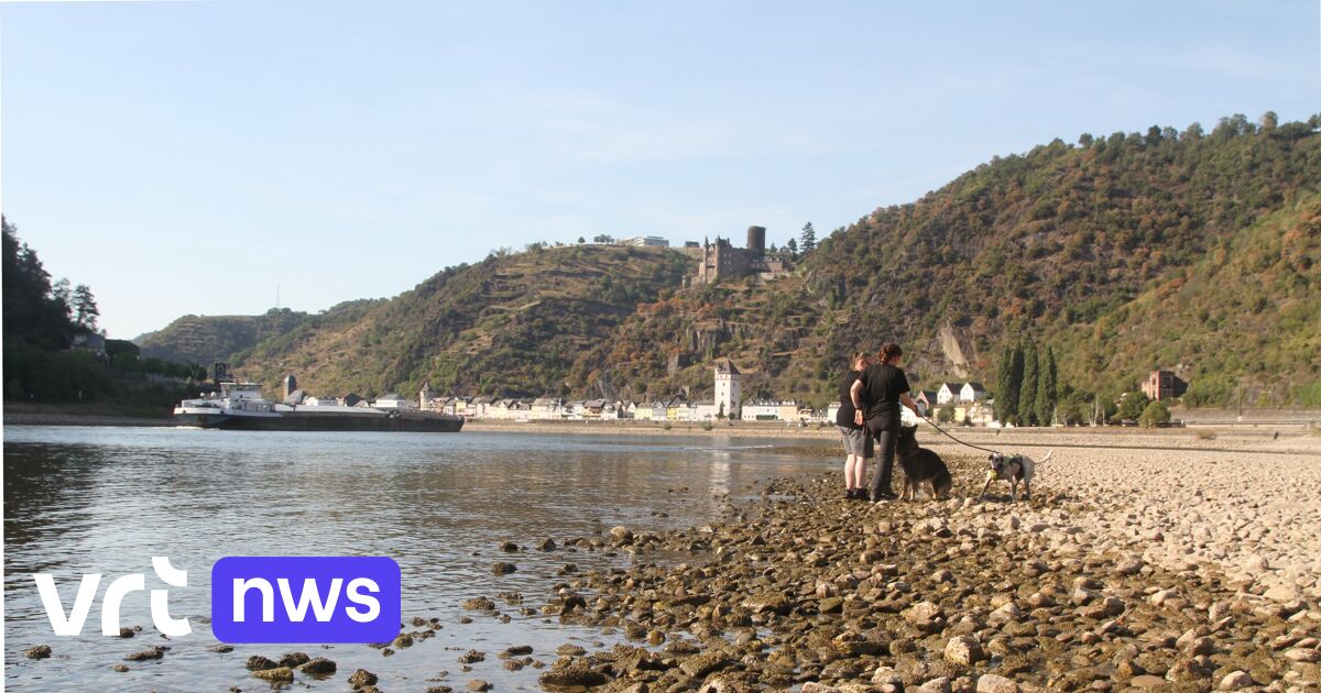 Waterstand van Rijn in Kaub te laag voor meeste schepen: