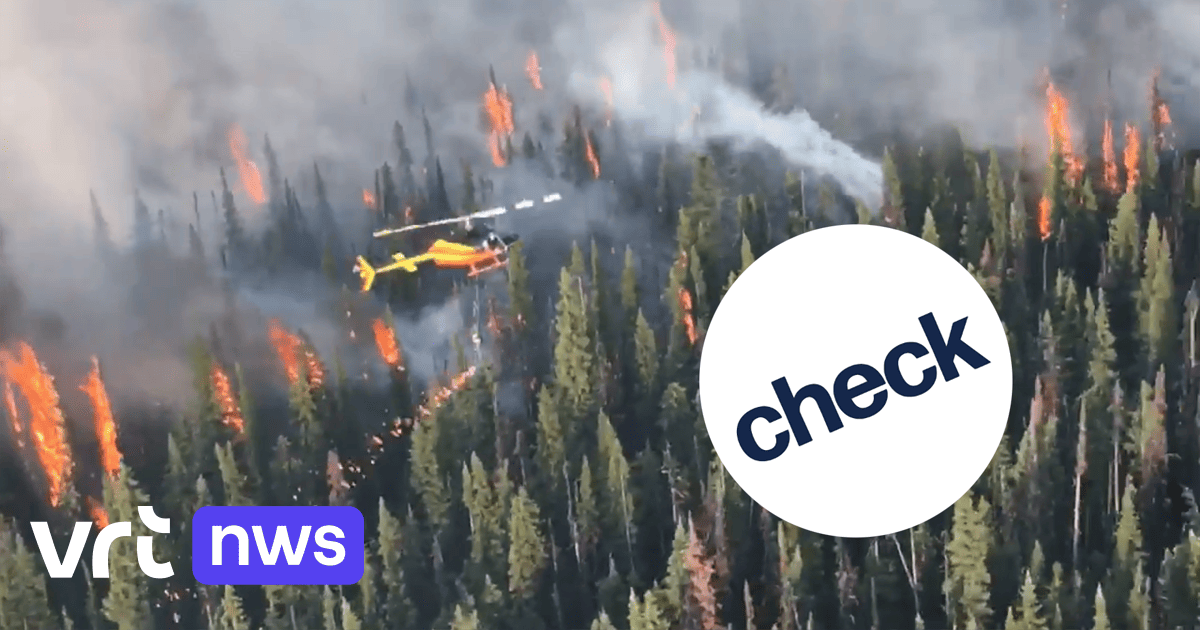 Image accompanying Deze beelden tonen aan dat bosbranden door helikopters worden aangestoken.