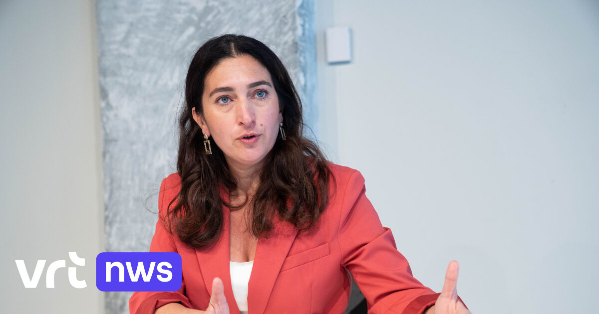 Flemish minister Zuhal Demir: “It is crucial that no one particular is lower off from the electrical power grid in Flanders”