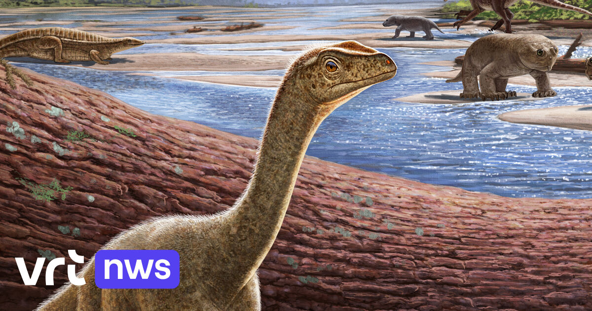 Na de grootste dinosaurus van Europa, is nu de oudste dino van Afrika