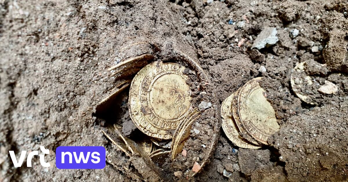 Jackpot: An English few finds 400-calendar year-aged gold cash worth € 280,000 beneath the kitchen area flooring