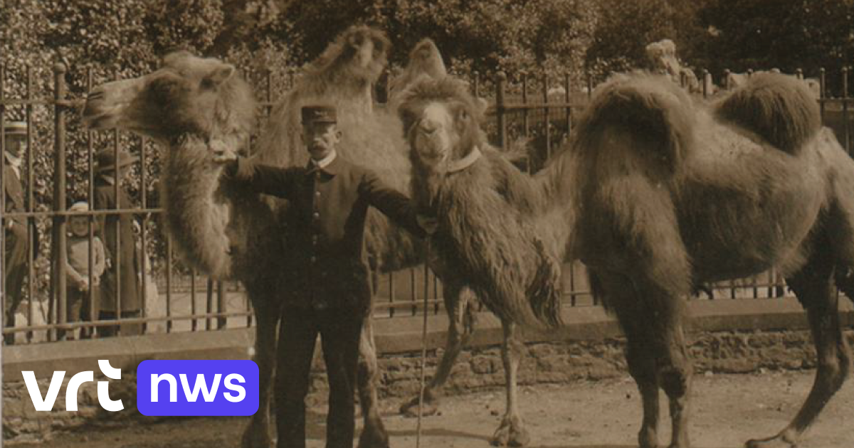 Bristol Zoo, een van de oudste dierentuinen ter wereld, heeft na 186