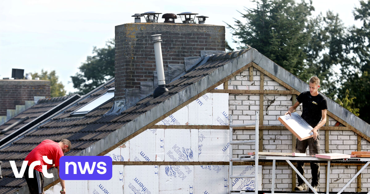 Welke premie kan je krijgen en voor welke verbouwingen? Dit betekent de vernieuwde renovatiepremie voor jou
