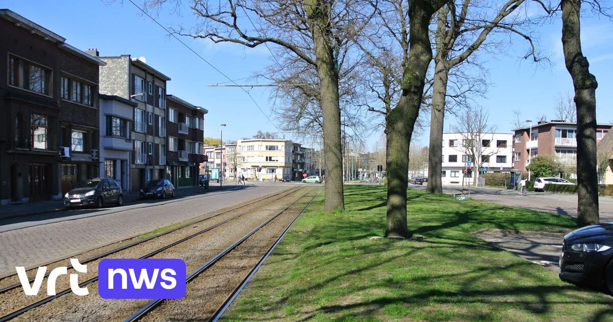 Omstreden werken aan Boekenberglei in Deurne en Borgerhout starten op 17 augustus