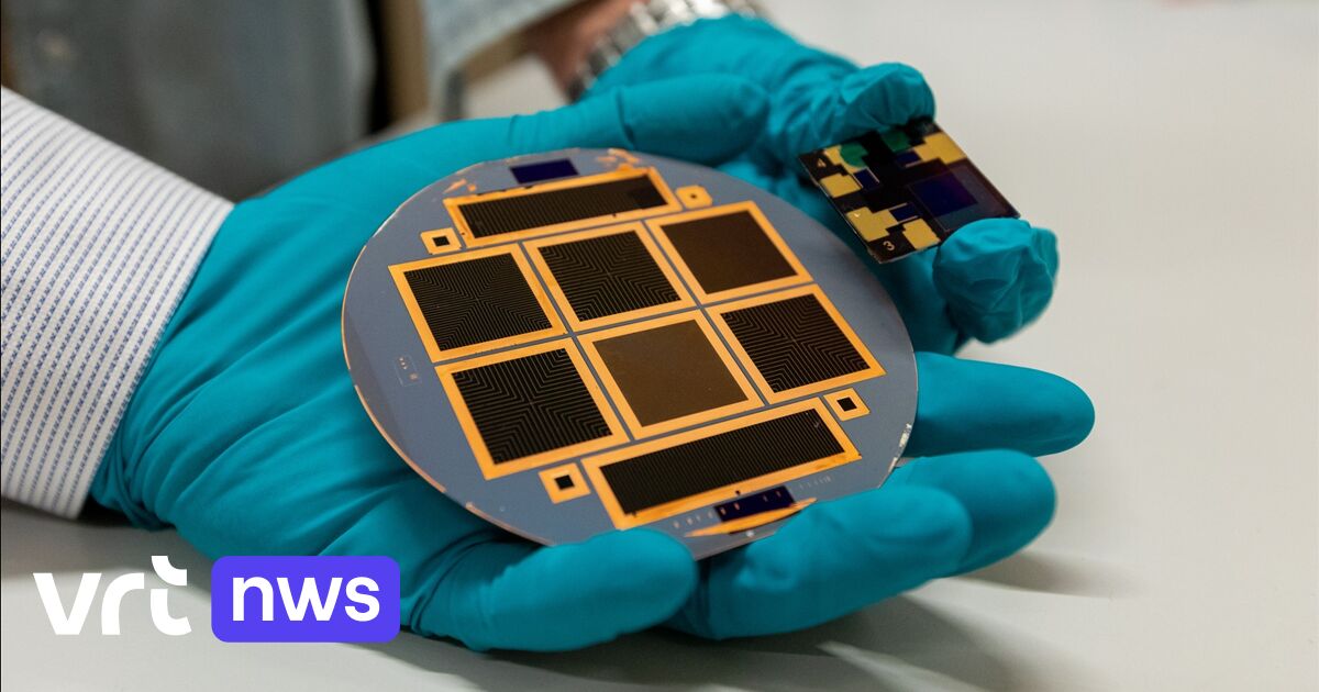 Flemish-Dutch solar cell yield breakthrough
