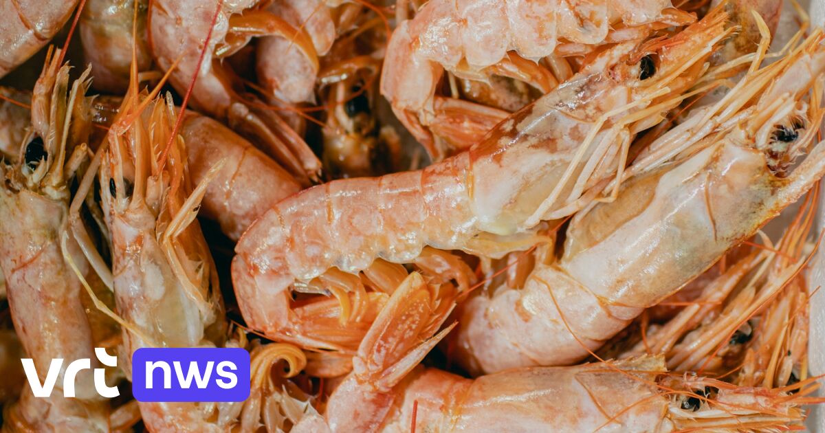 The inconvenient truth behind your beloved shrimp: Asian farms are taking their eyes off shrimp to boost production