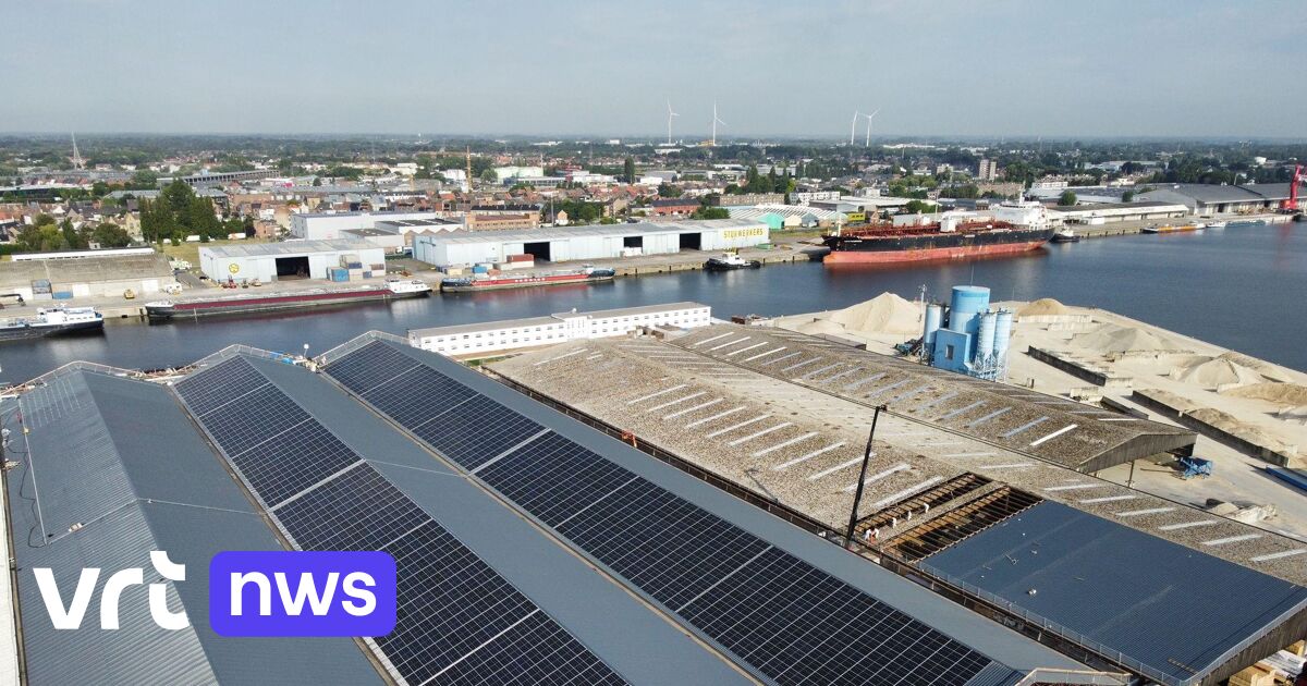 Open VLD niet meer achter knip groenestroomcertificaten: "Treft meer ...