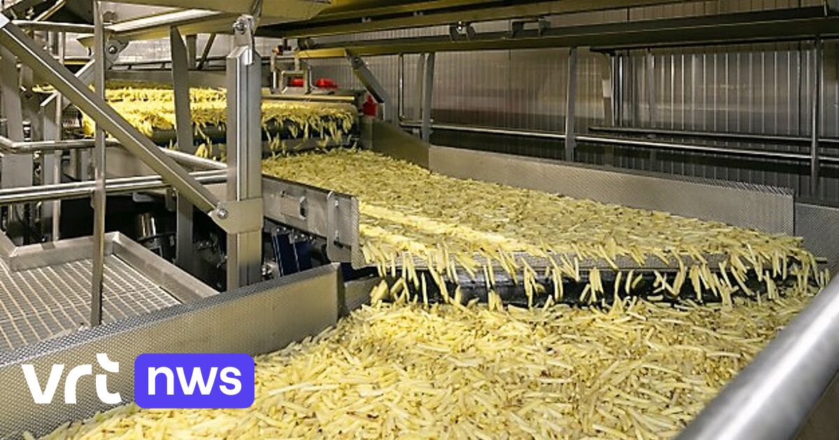 The potato processor opens the most modern French fries factory in Europe in Poperinge