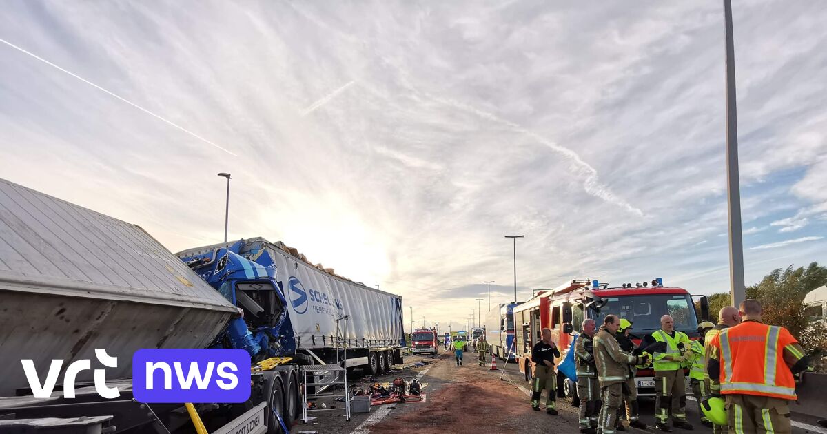 Dode En Zwaargewonde Bij Zwaar Ongeval Op E34 Tussen Kemzeke En Vrasene ...