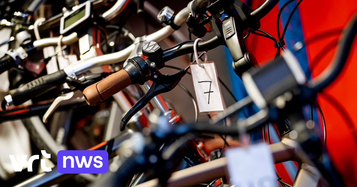 Een goede vriend postkantoor Chaise longue Tweedehandsmarkt voor fietsen boomt door elektrische leasingfietsen, zelfs  autoverdeler wil deel van de koek | VRT NWS: nieuws