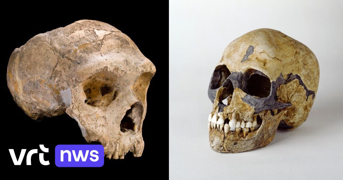 Может неандерталец умер из-за секса с нами