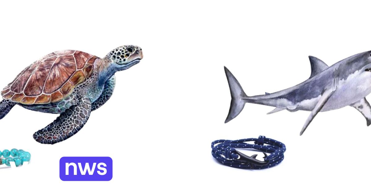 No, these bracelets won’t save sea turtles: How online scammers abuse charities