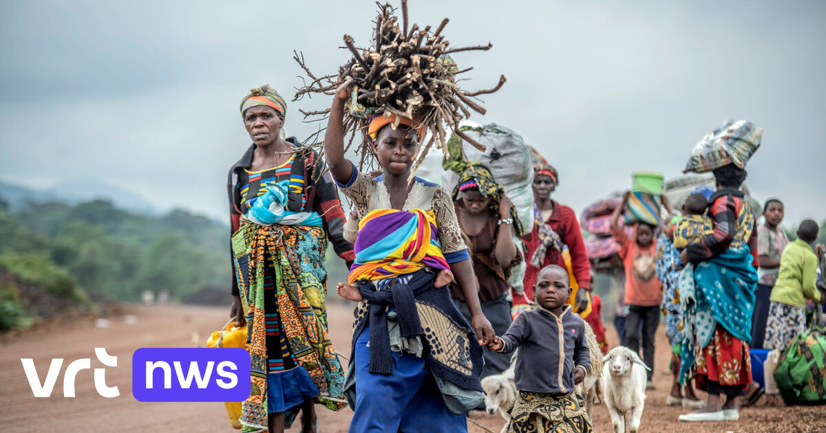 Conflict in Oost-Congo: kunnen Keniaanse soldaten en regionale