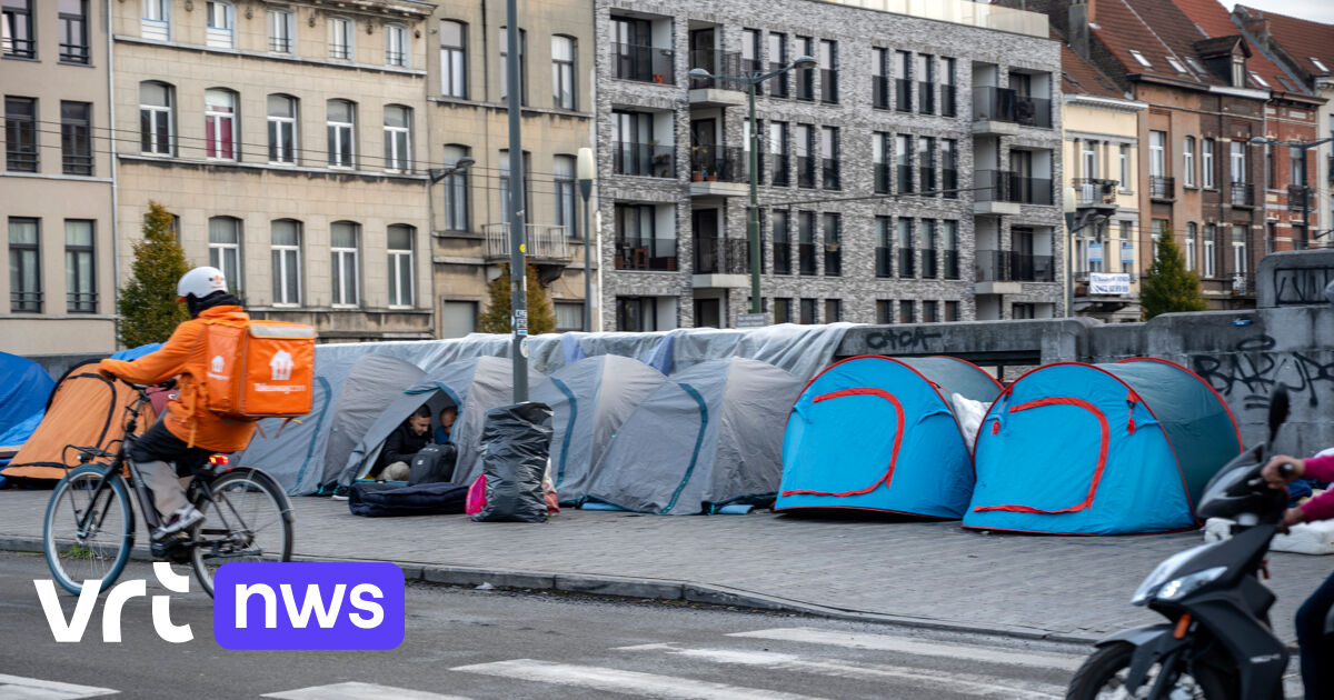 Brussels Parlementslid Vanden Borre (N-VA) Vraagt Vervoort Om Algemeen ...