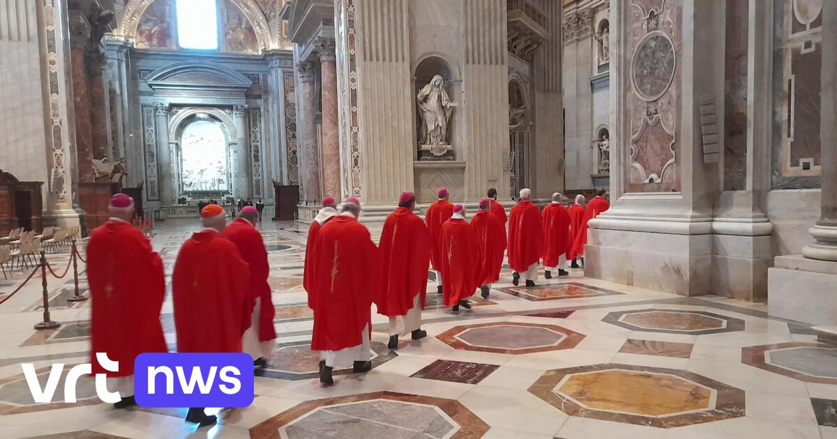 Belgische bisschoppen op bezoek bij de paus: "Vaticaan zal