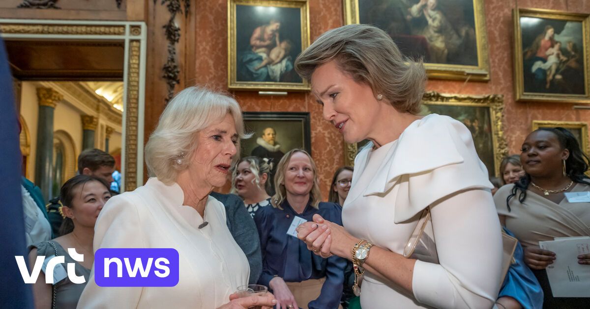 Britain’s Queen Consort Camilla and Queen Mathilde warn of ‘pandemic of violence against women’