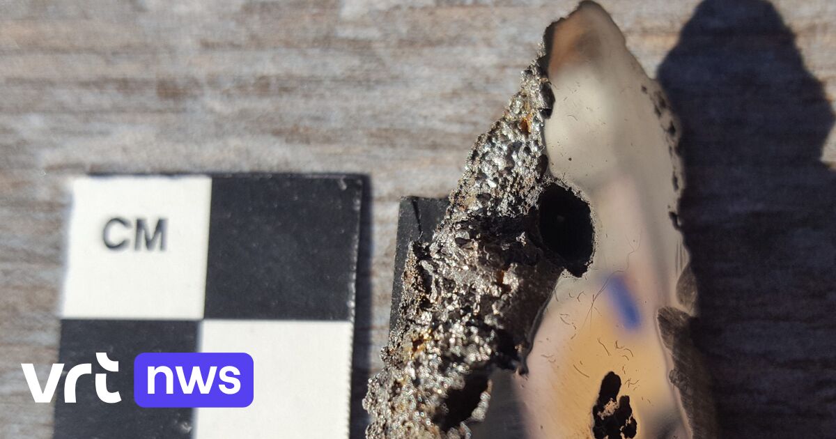 Discovered two minerals in the meteorite that do not occur naturally on Earth