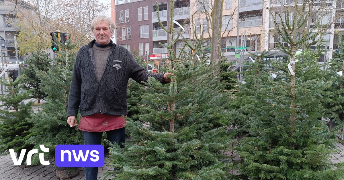 Al veel kerstbomen verkocht doordat verkoop al half november startte