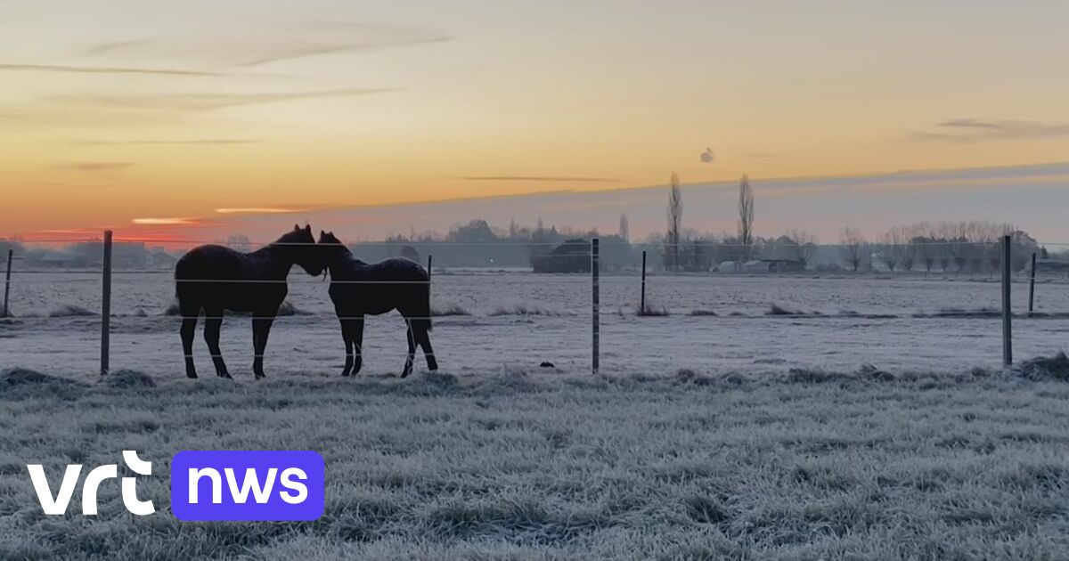 Eerste Winterprik Doet Energieprijzen Opnieuw Stijgen: Gaan We Dat ...