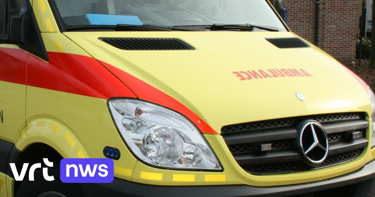 Dodelijk ongeval op E19 in Mechelen-Noord: vrouw (20) uit Lier rijdt tegen brugpijler