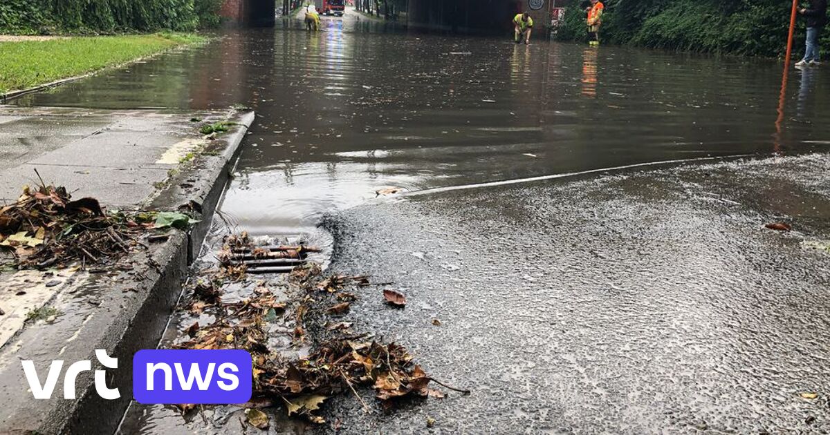 1 Jaar Na Aanstelling Wateroverlastcoördinator Wetteren: "Maatregelen ...